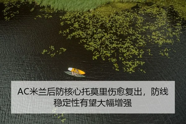 AC米兰后防核心托莫里伤愈复出，防线稳定性有望大幅增强